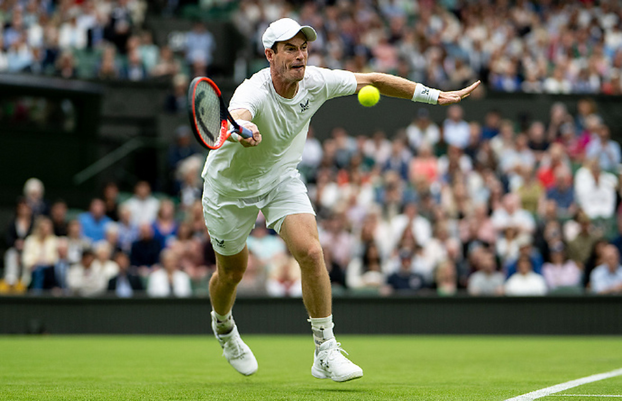 ATP总决赛力克温网，穆雷状态火热