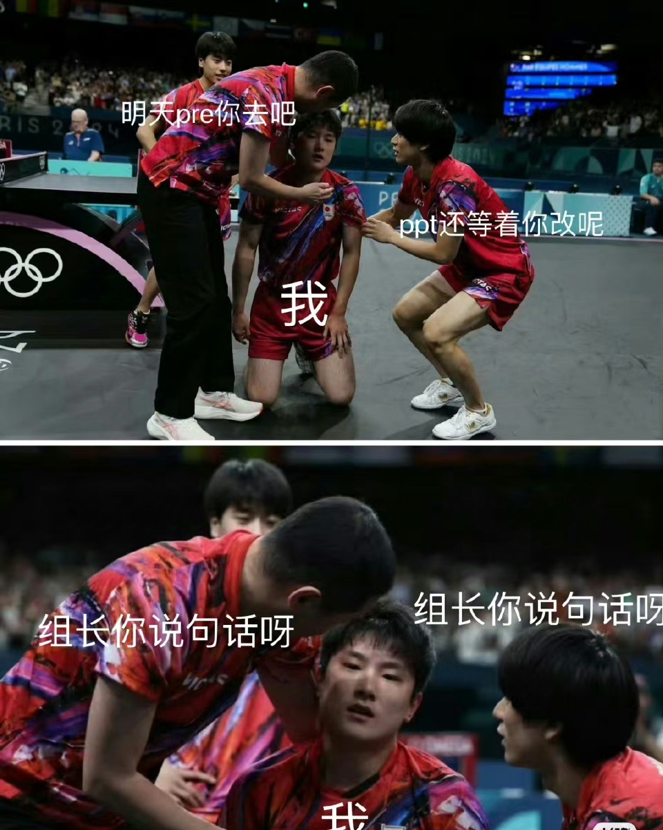 法国队力克日本队，张本智和高光表现