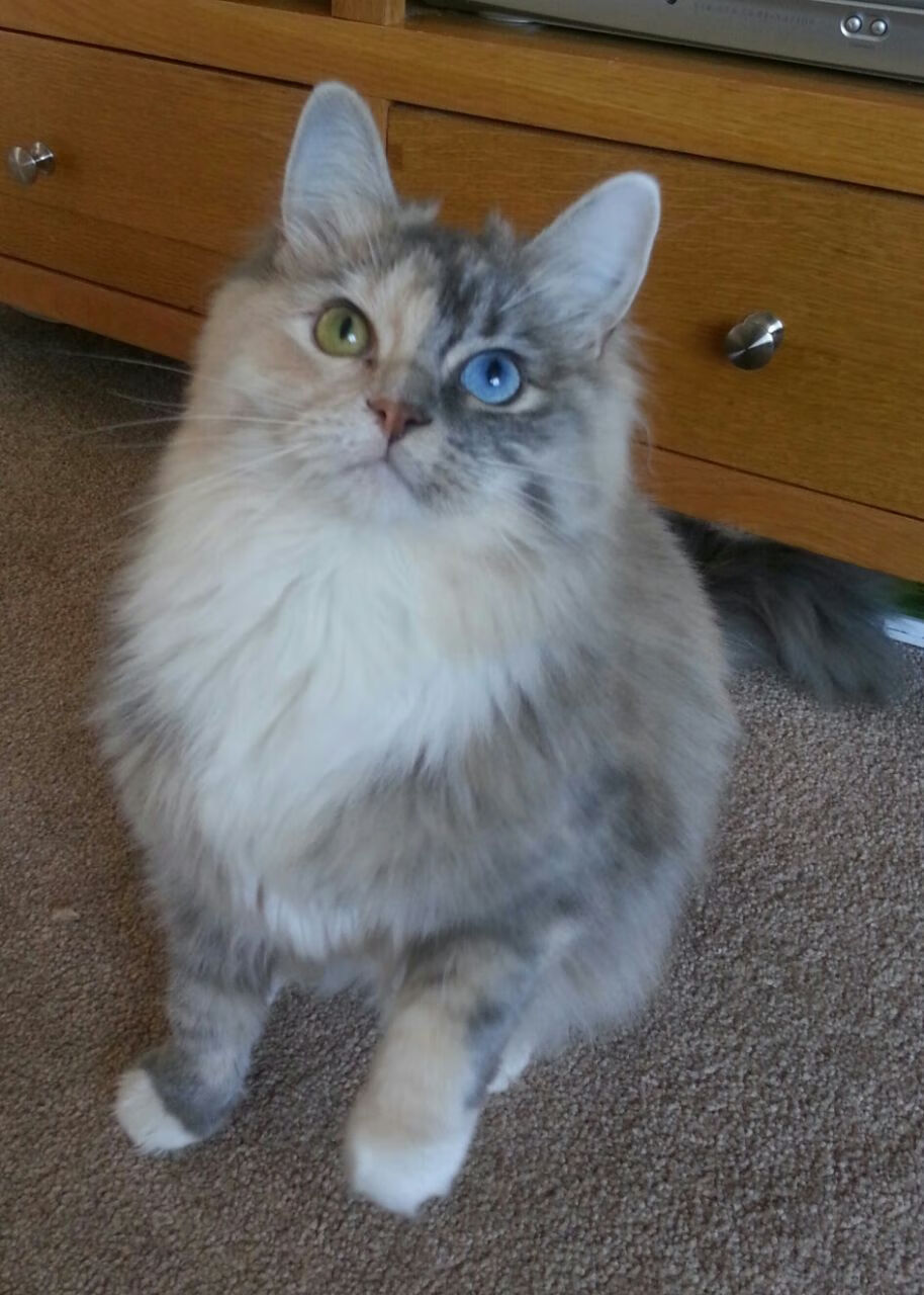 烈焰重燃，当太阳逆转篮网，克莱点燃沉寂的赛场