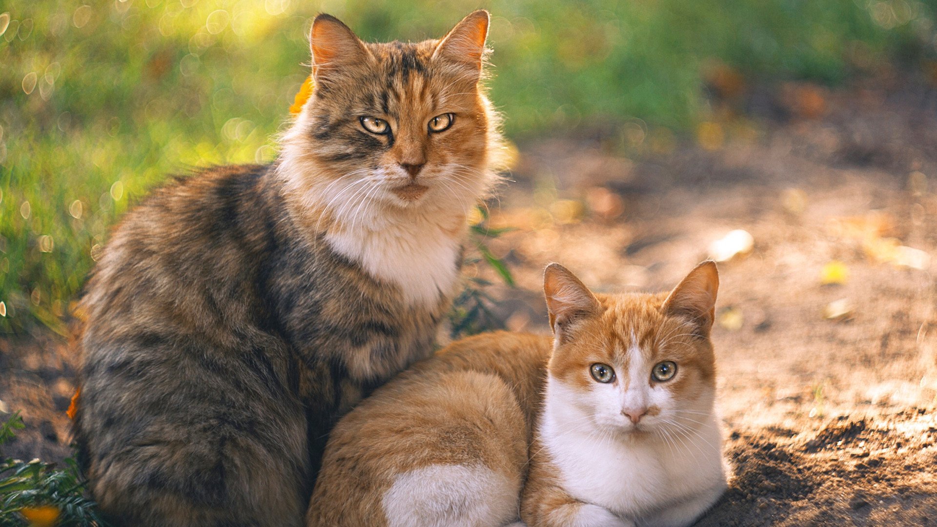 足球世界的改朝换代,当法国风暴碾过巴萨王朝,穆勒的纪录是最后的旧日残响