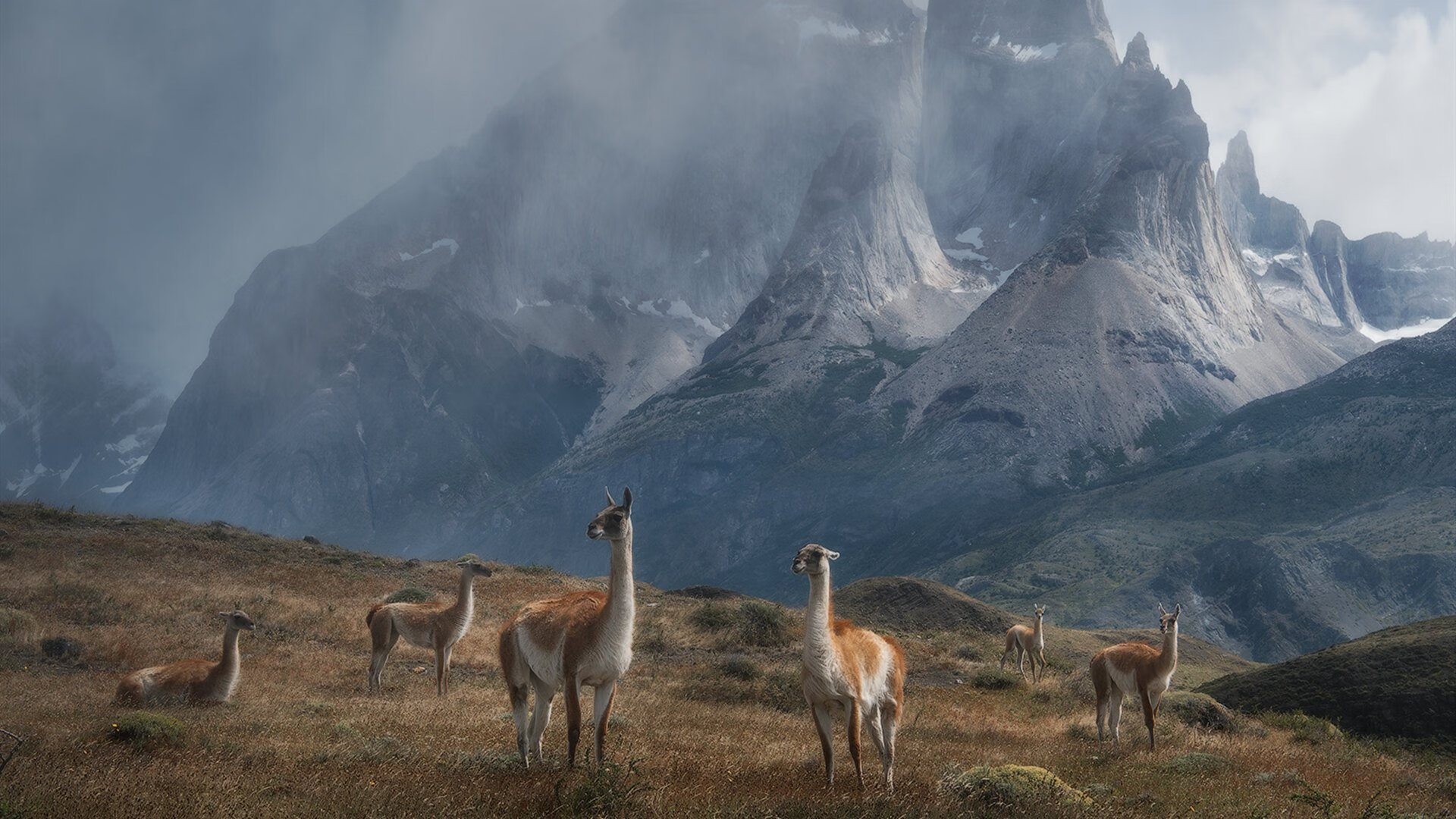 灵魂鼓点对沉默的火山,塞内加尔与玻利维亚的足球史诗