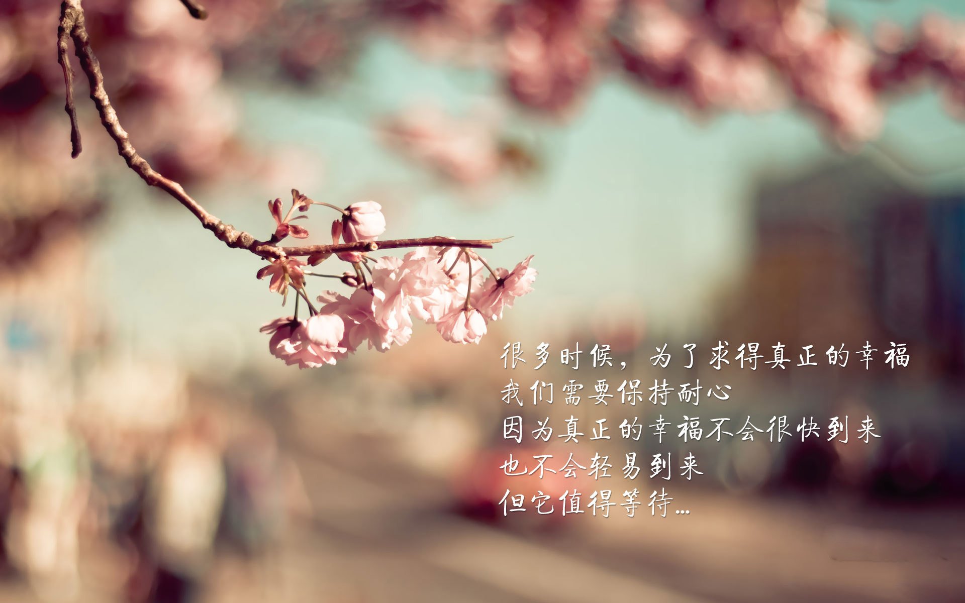 方向盘的博弈，阿劳霍在巴林夜战中的政治隐喻