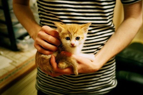 锡安47分凿穿防线,粤式旋风轻取华盛顿