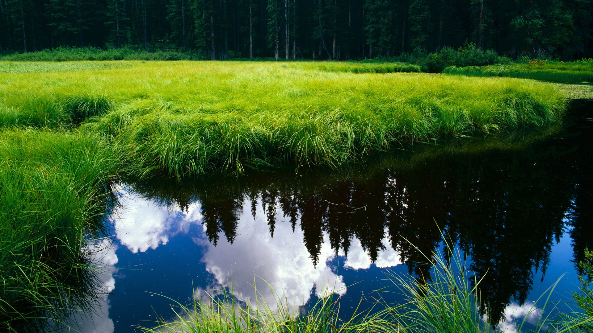 决战新大陆,哈兰德在美加墨之夜的封神之战