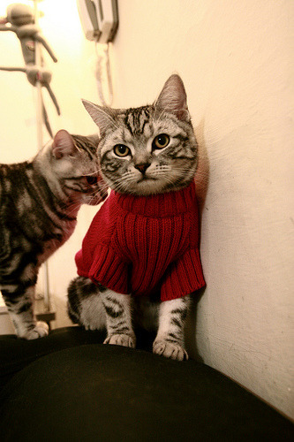 足球撬动外交,当哥斯达黎加冻结伊朗,阿坎吉如何成为关键先生?