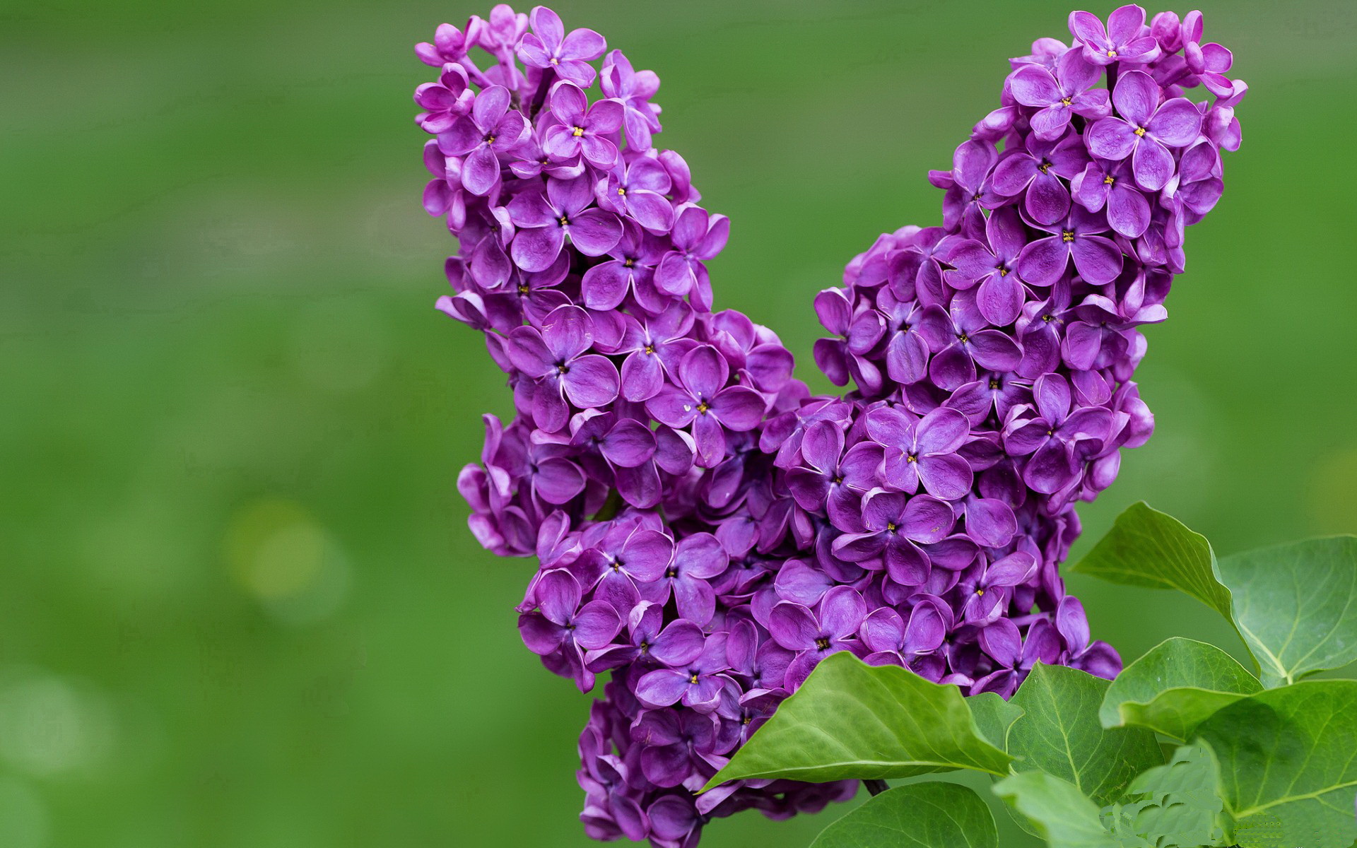 双城记,从盐湖城到慕尼黑,两个火星时刻的隔空交响