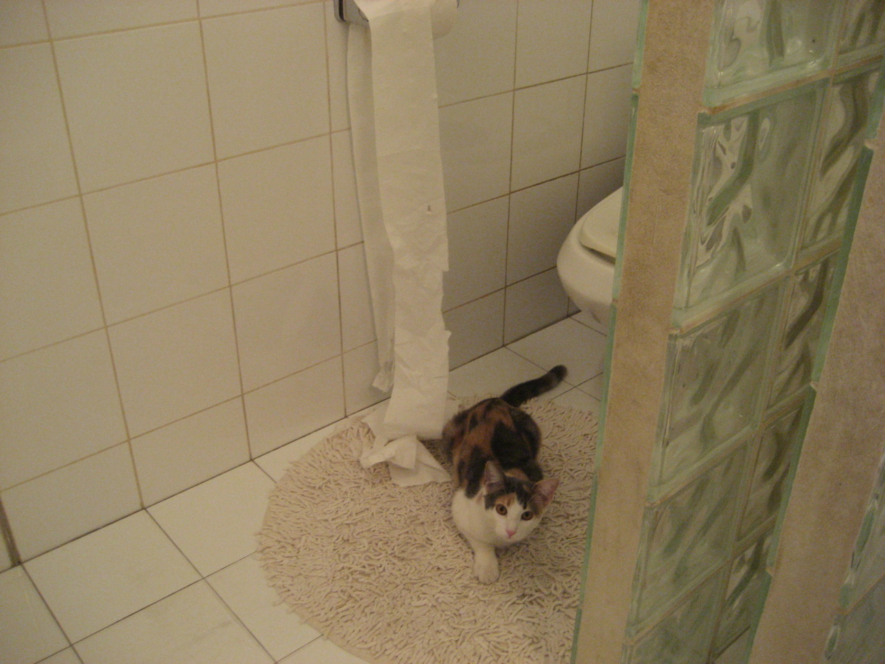 当北欧海盗披上红魔战袍,卡拉斯科爆发,助挪威生死战逆袭爱尔兰