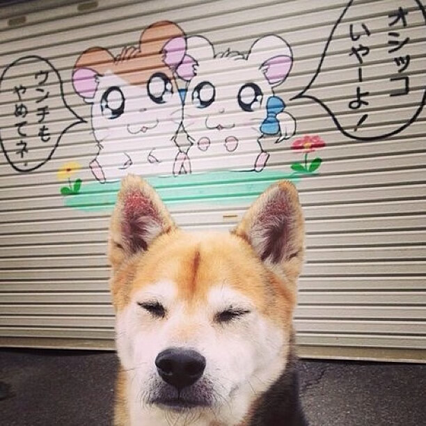 赛道上的蓝黄风暴，久保建英如何以F1战术思维接管巴林揭幕战