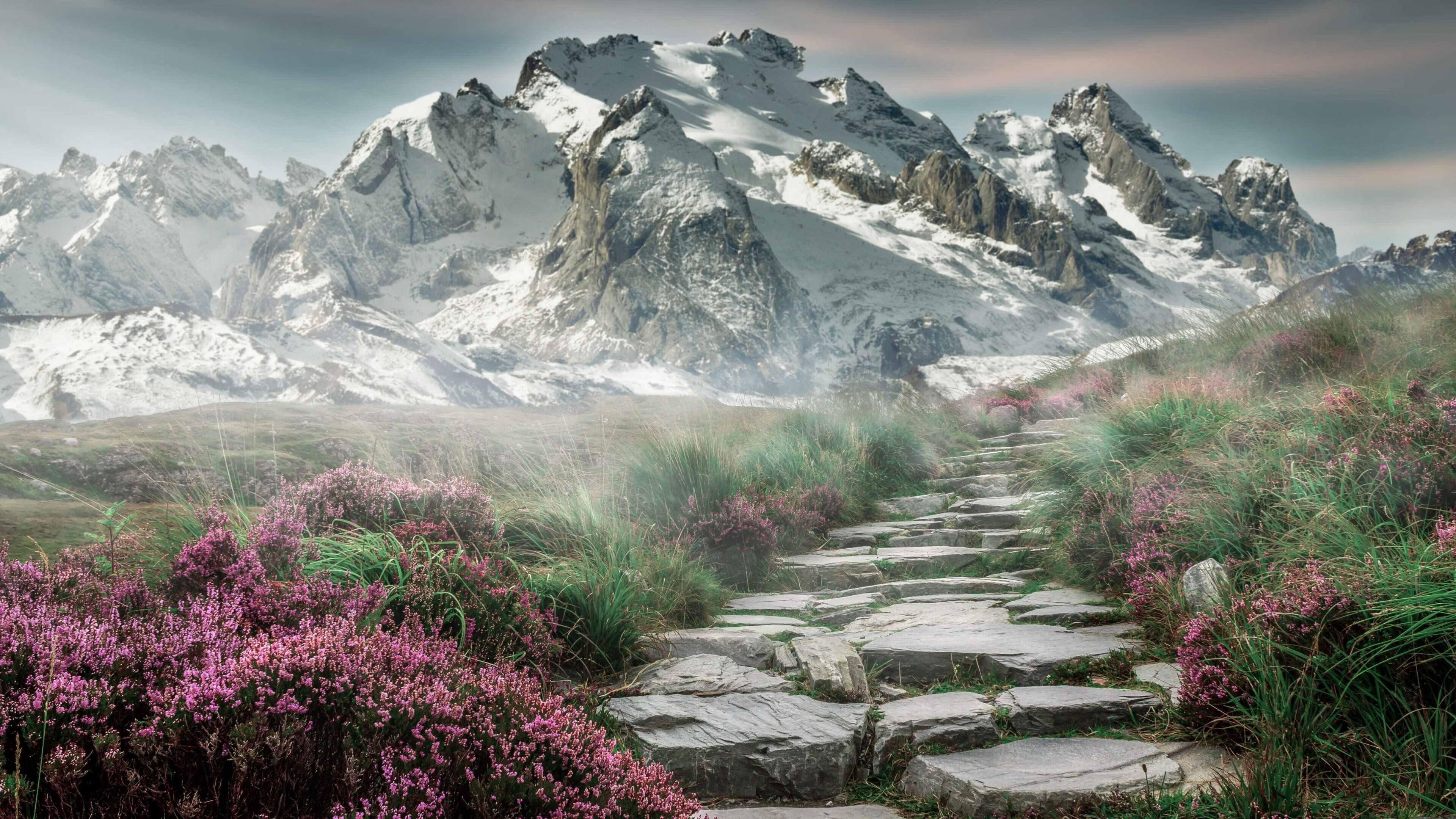 篮球世界的双重维度，广厦队碾压爵士的团队美学与文班亚马接管欧冠的个体神性