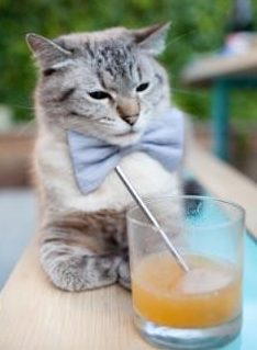 生死战之夜，冰封对手，拉文的无声宣言