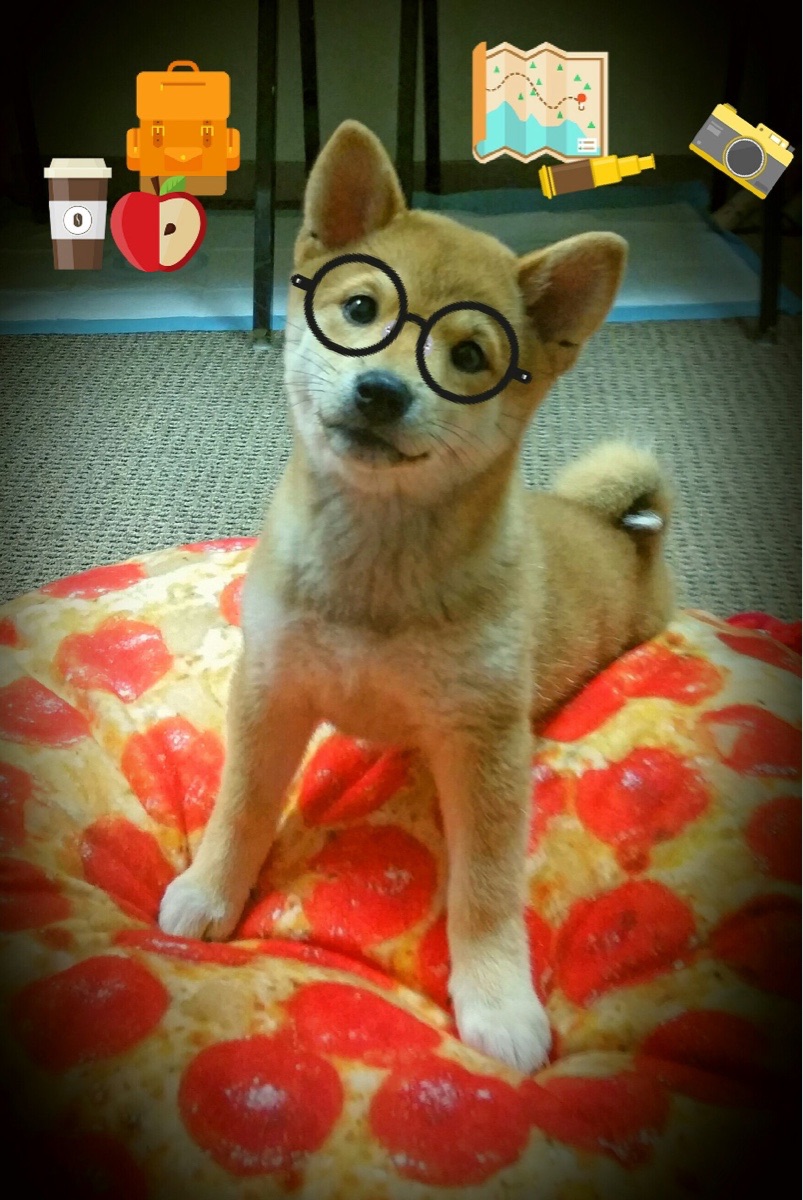 烽火焚城,冰人镇场,爱德华兹全程高能率爵士压哨绝杀热火