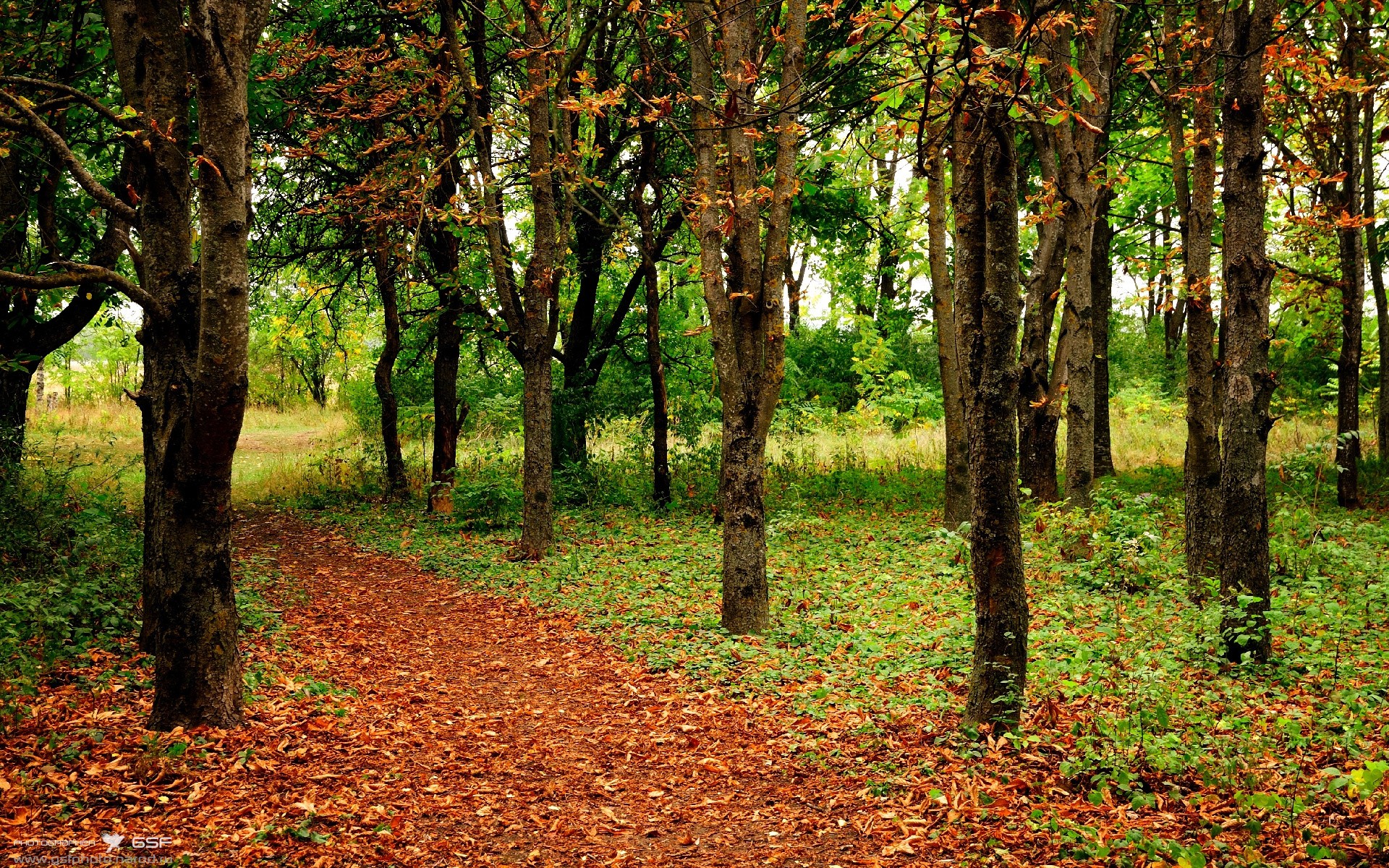 青春风暴对轰迟暮巨头,班凯罗教科书表演提前终结悬念