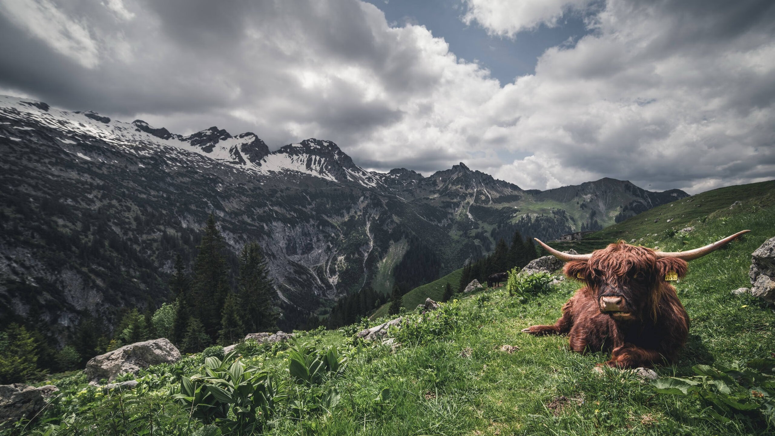西决·伊比利亚之巅—当葡萄牙的野心撞碎在马德里的钢铁城墙