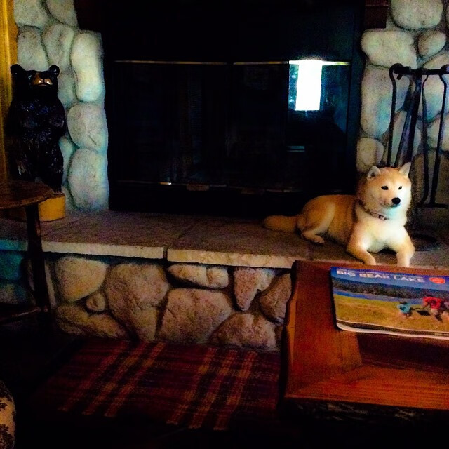 马刺驯鹰记，西亚卡姆一记手术刀，提前终结悬念