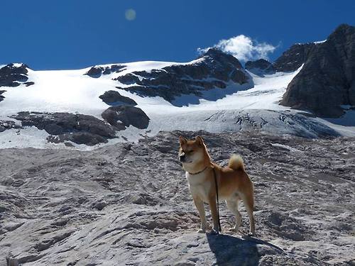 当大帝降临东方,恩比德全程高能输出,上海队如何冲垮雄鹿?