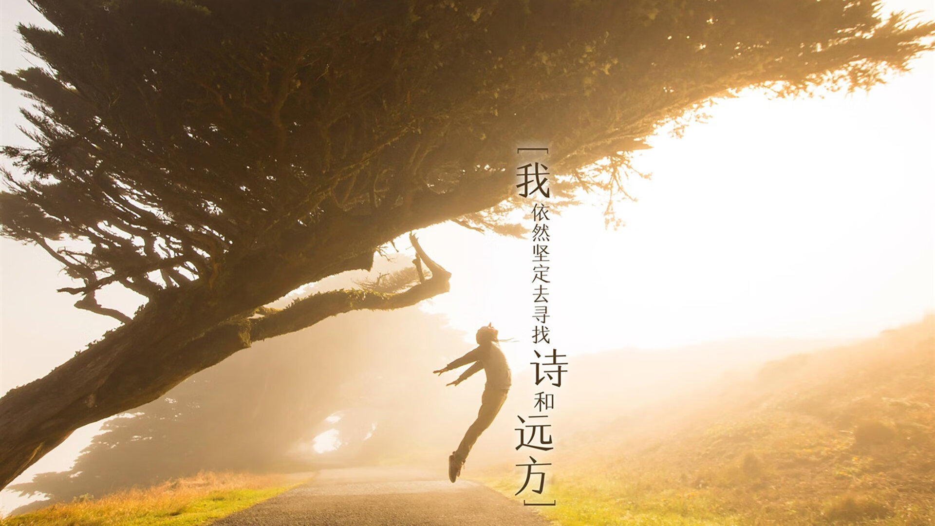 切尔西的奥运行军图，一场生死战如何定义蓝军的黄金四年