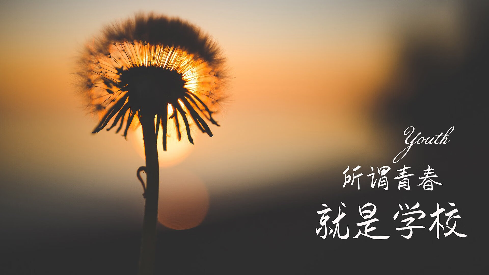 维也纳奇迹,布罗佐维奇导演绝杀,奥地利在2026世界杯巅峰对决中击碎捷克铁骑
