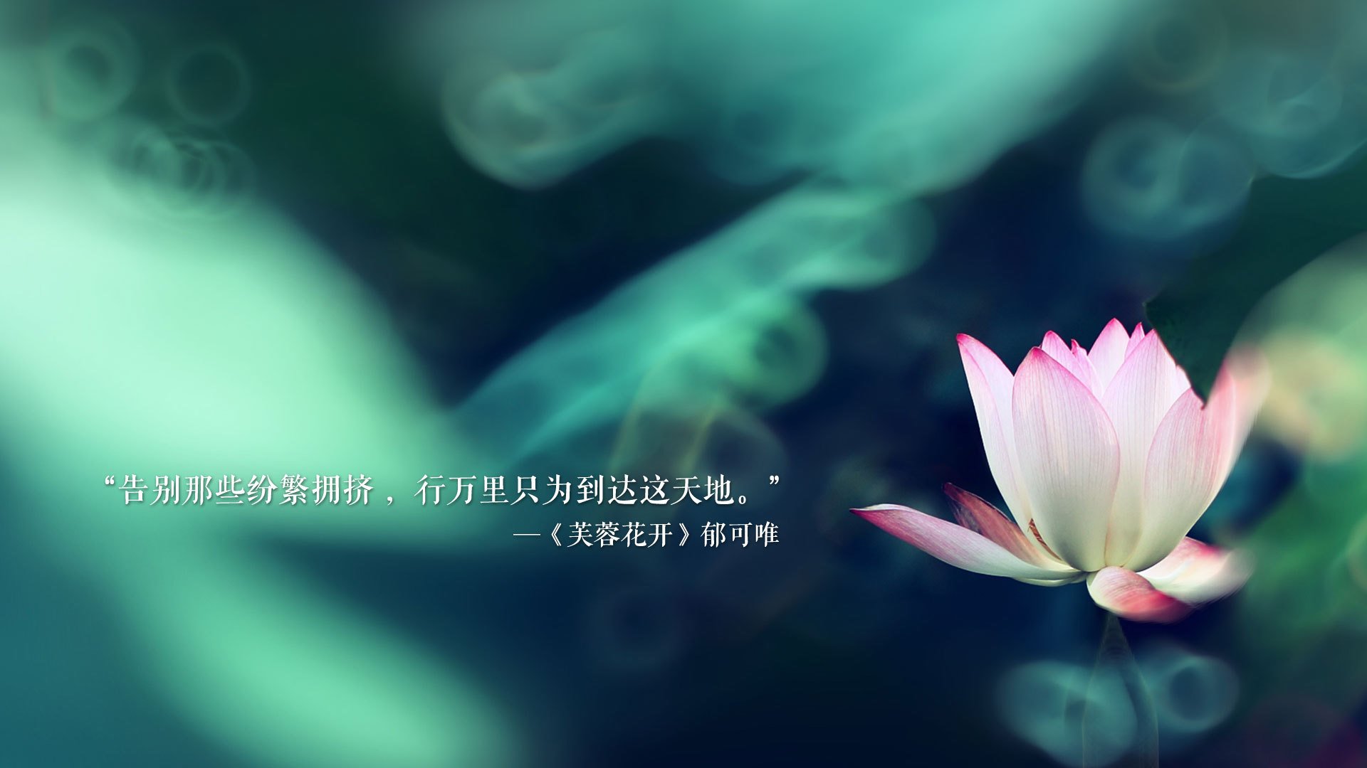 太极虎折戟红土场,喀麦隆以铁血对抗撕碎亚洲荣光,费利克斯独舞成世界杯最锋利长矛